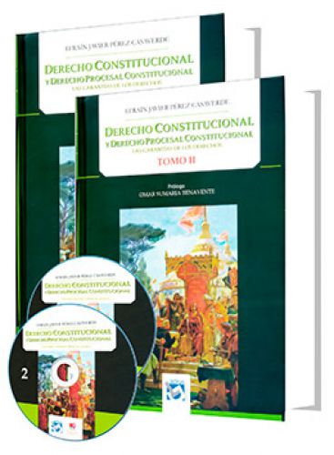 DERECHO CONSTITUCIONAL Y DERECHO PROCESA..