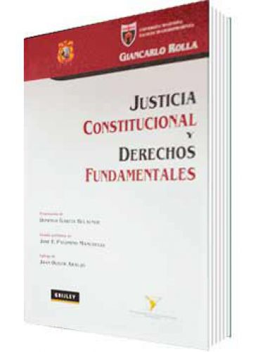 JUSTICIA CONSTITUCIONAL Y DERECHOS FUNDA..