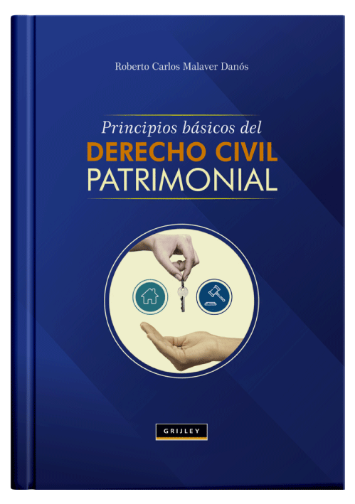 PRINCIPIOS BÁSICOS DEL DERECHO CIVIL PATRIMONIAL PRINCIPIOS BÁSICOS DEL DERECHO CIVIL PATRIMONIAL