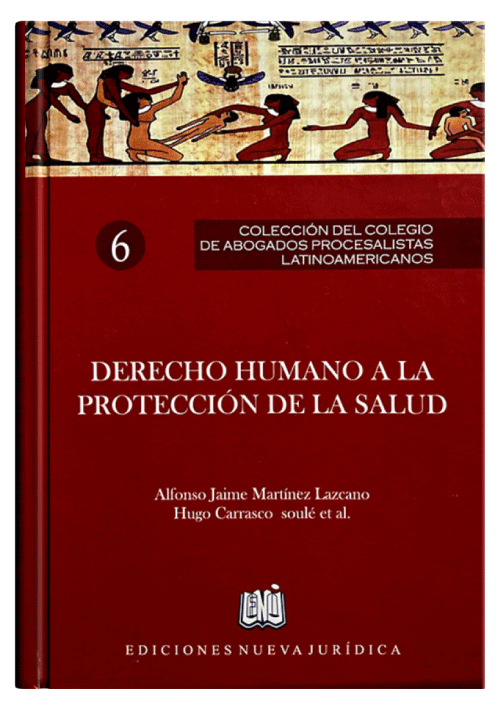 DERECHO HUMANO A LA PROTECCIÓN DE LA SA..