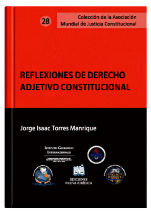 REFLEXIONES DE DERECHO ADJETIVO CONSTITU..