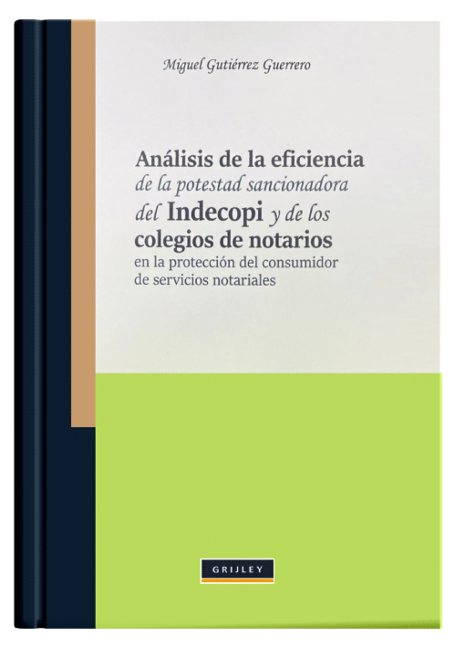 ANÁLISIS DE LA EFICIENCIA DE LA POTESTA..