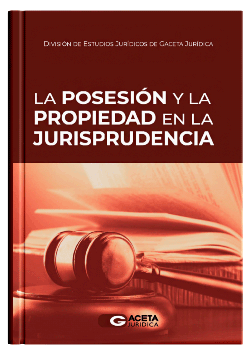 LA POSESIÓN Y LA PROPIEDAD EN LA JURISP..