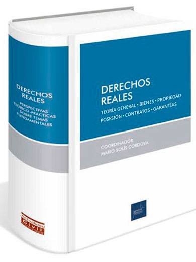 DERECHOS REALES - Teoría general. Bienes. Propiedad. Posesión. Contratos. Garantías