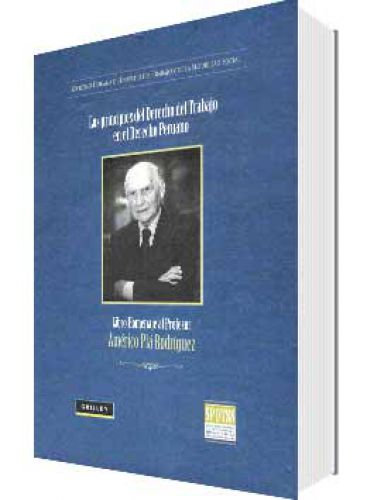 Los Principios del Derecho del Trabajo e..