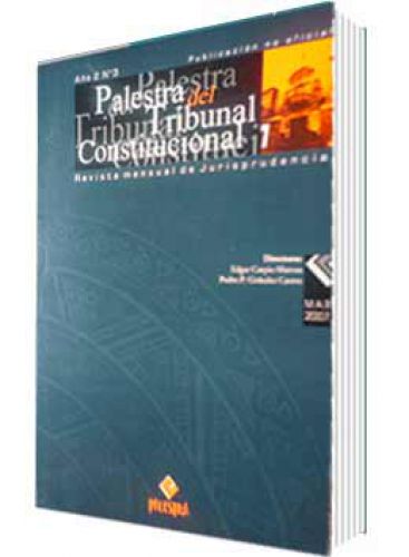 PALESTRA DEL TRIBUNAL CONSTITUCIONAL 3, AÑO 2007