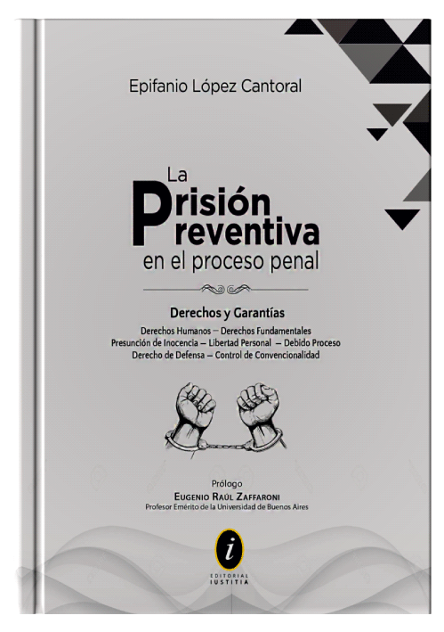 LA PRISIÓN PREVENTIVA EN EL PROCESO PENAL LA PRISIÓN PREVENTIVA EN EL PROCESO PENAL