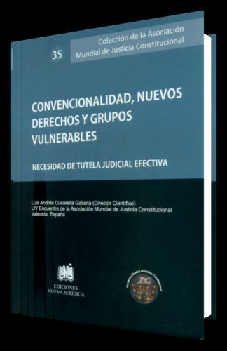 CONVENCIONALIDAD, NUEVOS DERECHOS Y GRUPOS VULNERABLES CONVENCIONALIDAD, NUEVOS DERECHOS Y GRUPOS VULNERABLES