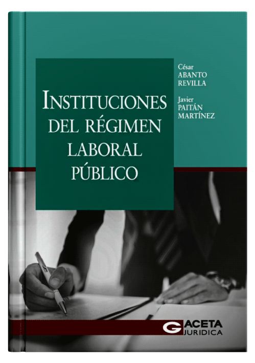 INSTITUCIONES DEL RÉGIMEN LABORAL PÚBLICO